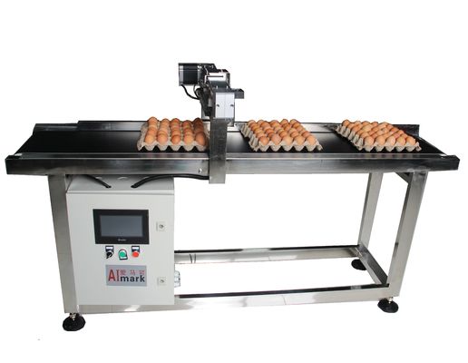 E5 Step Motor Lubing Egg Coding Conveyor Belt z systemem osi X