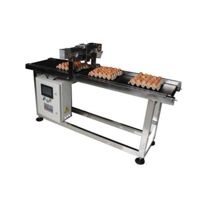 E5 Step Motor Lubing Egg Coding Conveyor Belt z systemem osi X